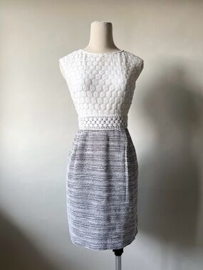 Sandra Darren Tailored Dress Polka Dot Textured Dress